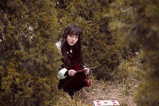 森林秘密在线观看,揭秘神秘森林的奇幻之旅 第1张 森林秘密在线观看,揭秘神秘森林的奇幻之旅 第1张